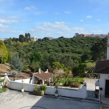 Casa Da Palmeira בית הארחה לייריה