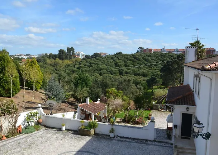 Casa Da Palmeira 招待所 莱里亚