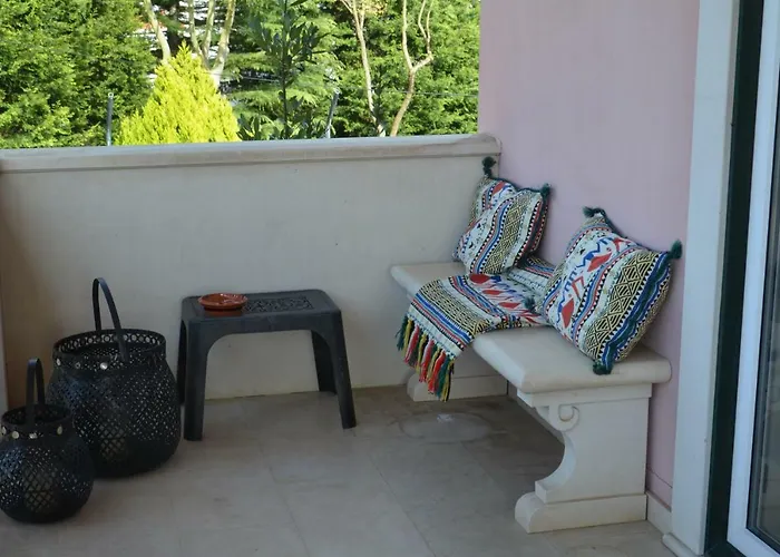 Casa Da Palmeira 招待所